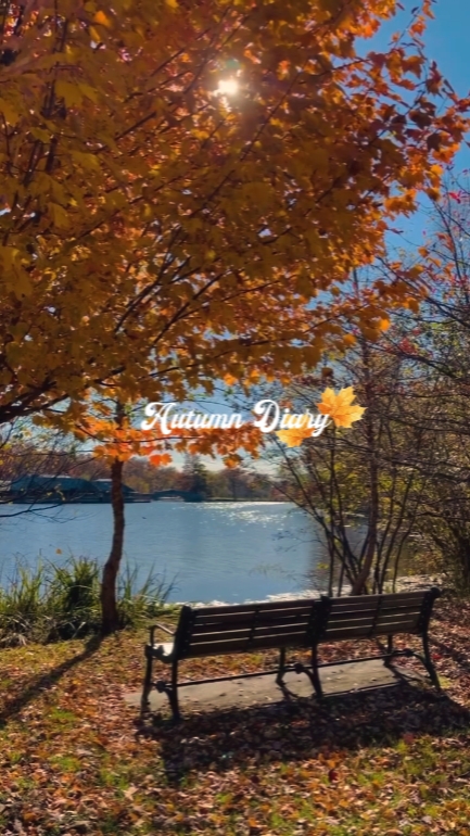 Autumn Diary