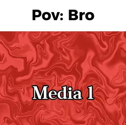 Pov: Bro