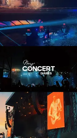 my Concert diaries 