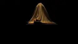 mystery curtain ¹¹