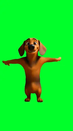 Baby boo dog
