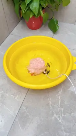 mini máquina de lava
