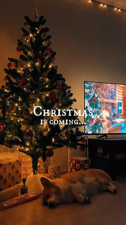 O Natal está chegando
