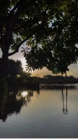 แด่ความพยายาม