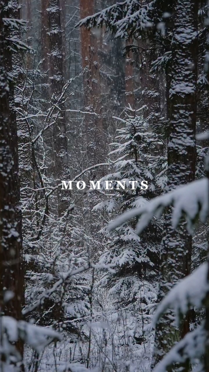 Momentos inverno 