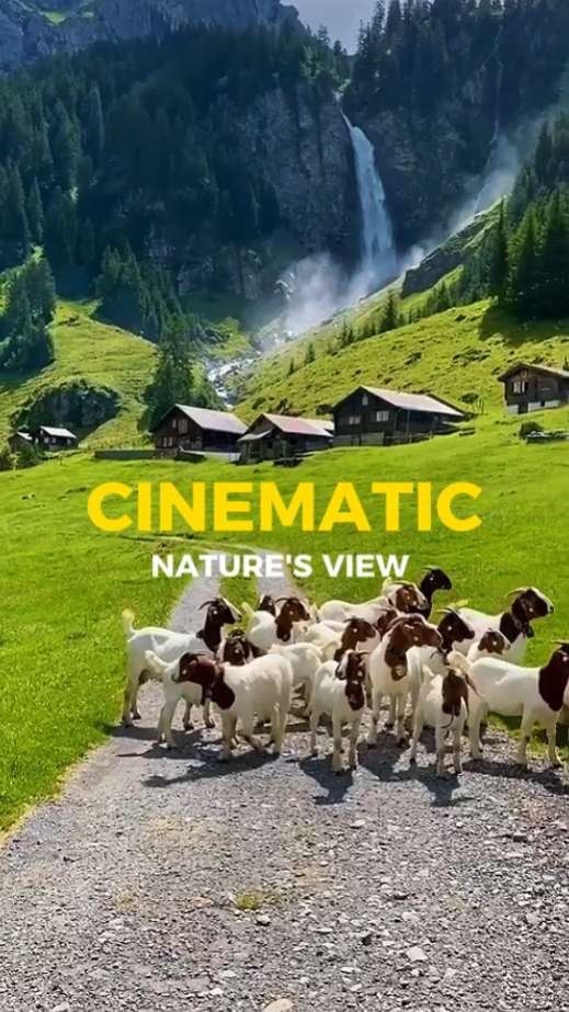 Cinematic film 