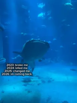 2026 is my year