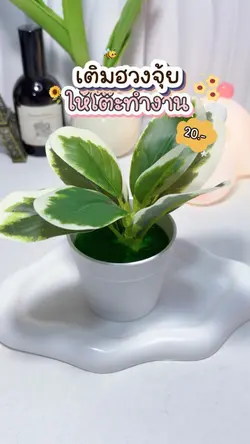 รีวิวของแต่งห้อง🌱🧺✨