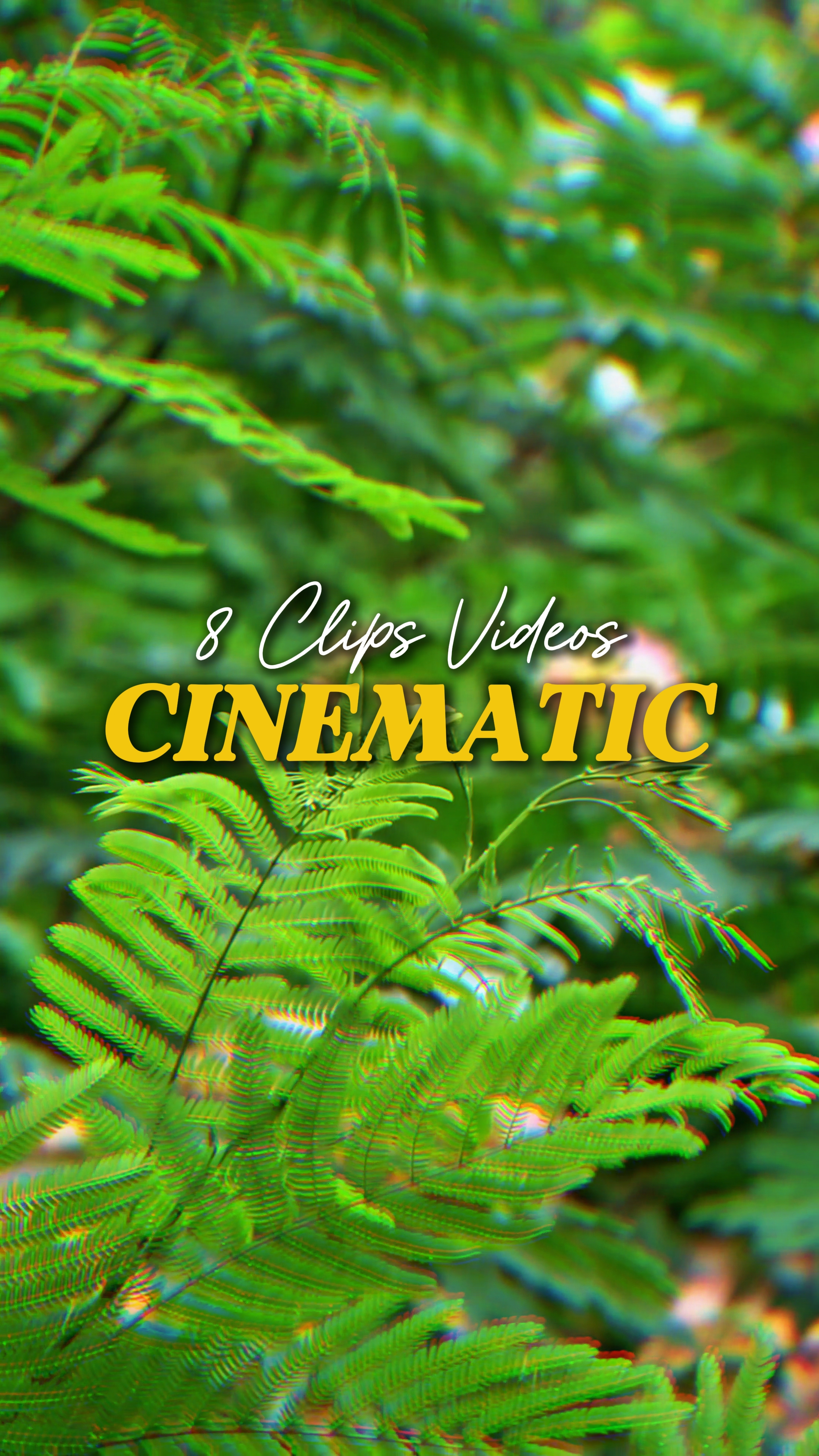 Cinematic 8 Videos