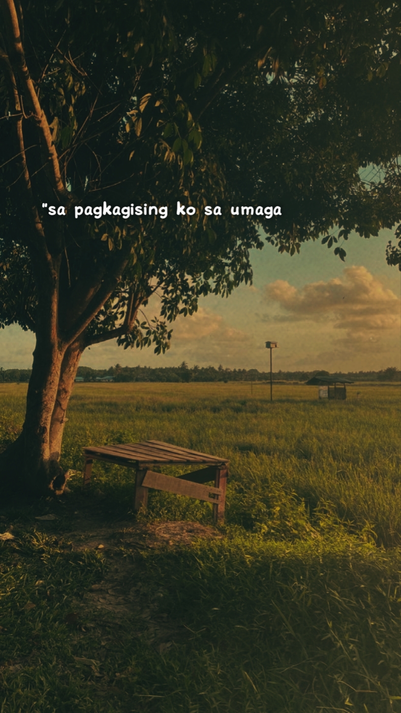 Oh, Liwanag letras