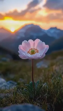 Simple 5 video clips