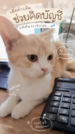 แมวส้มนักคิด