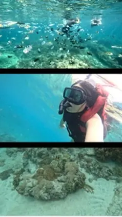 Little mermaid 🧜🏻‍♀️🐚🫧