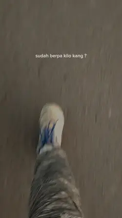 sudah berapa kilo