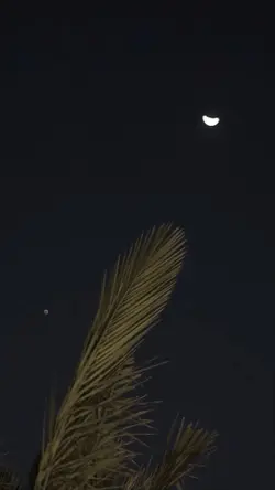 Hati Yang Luka