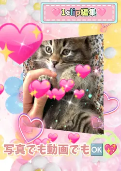 写真でも動画でも/1clip