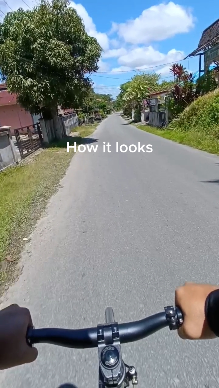 Cómo se ve y