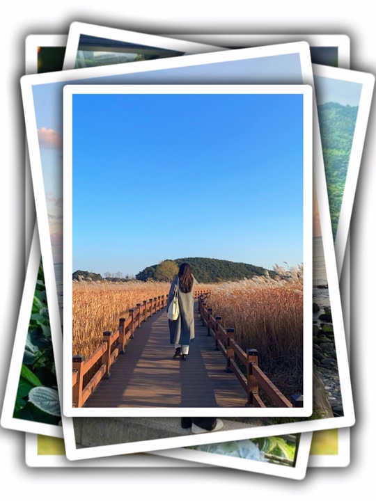 8Pic Frame Aestheti