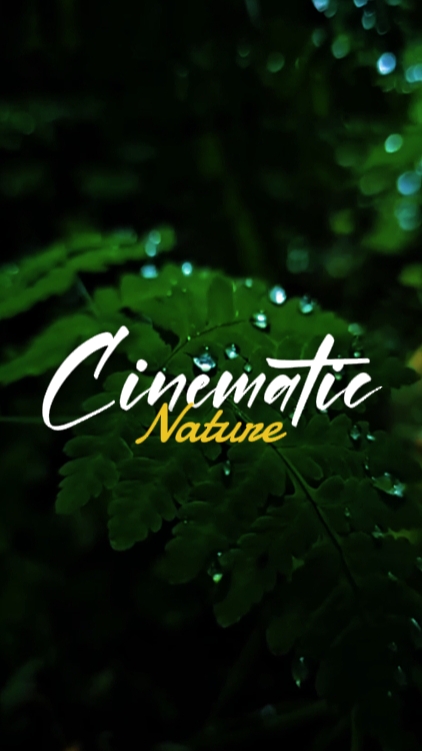 7 videos cinematic