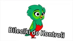 Bileciki do kontroli