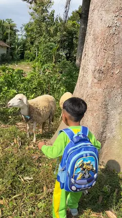SHAUN THE SHEEP