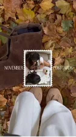 November Postcards