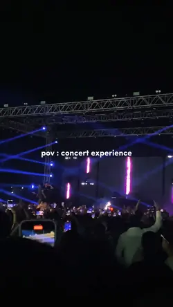 pov: concert experie