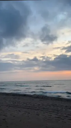 şablon 
