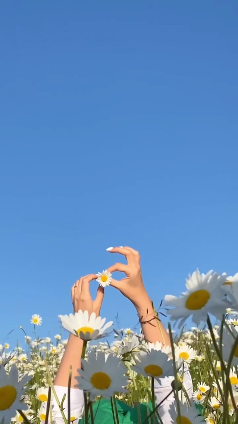 4 na video