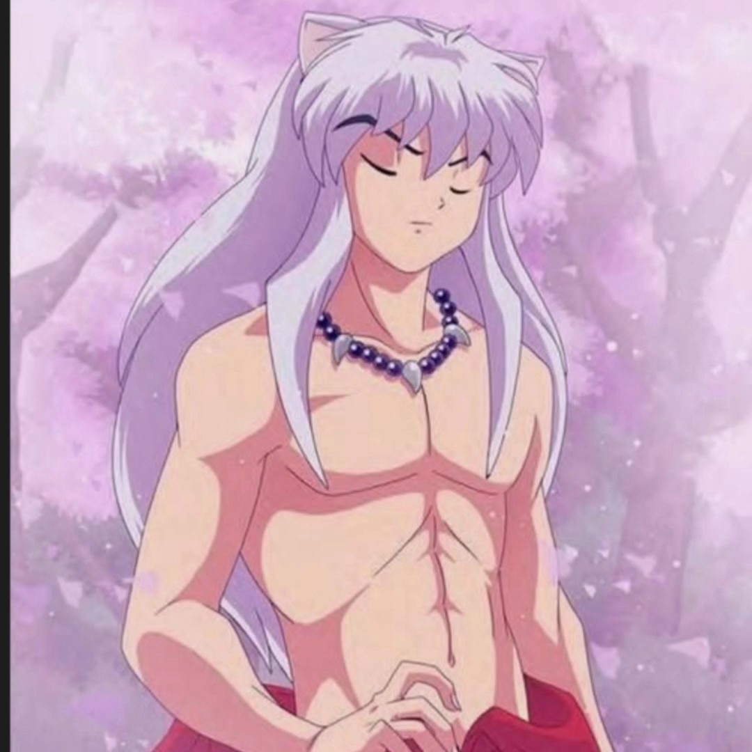 inuyasha se mi novio