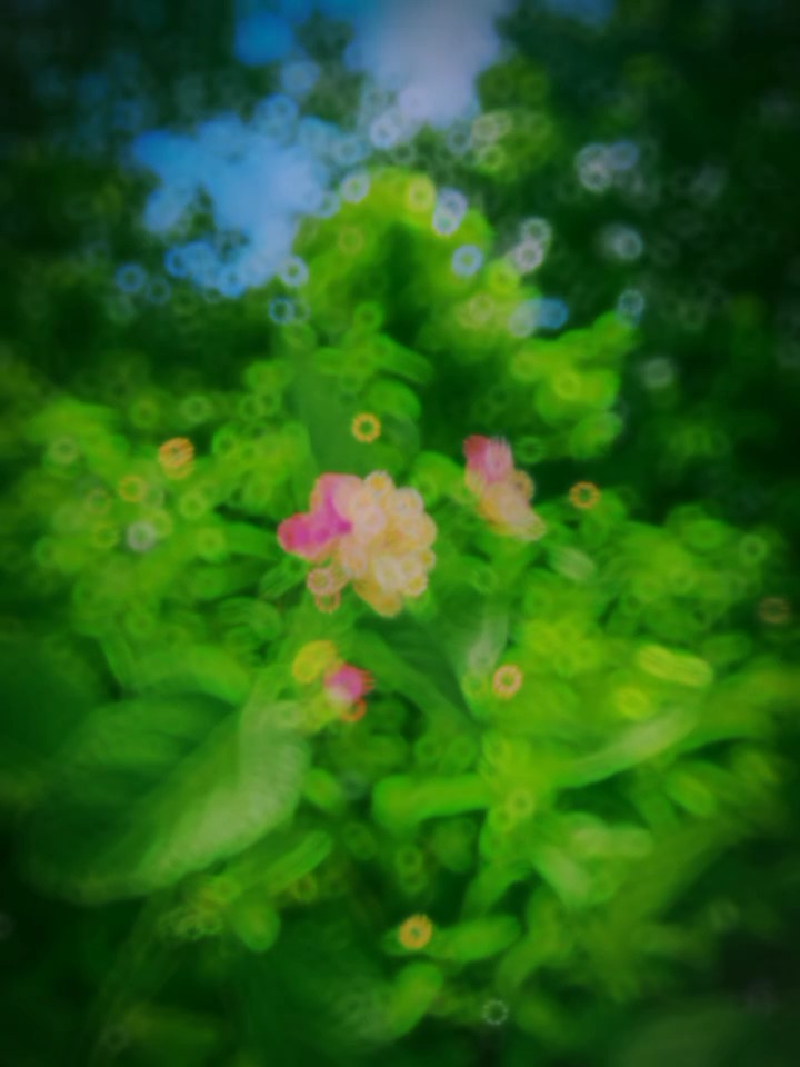 ইসলামিক ভিডিও 