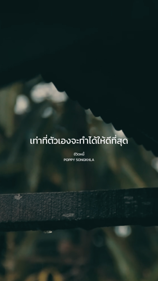 ชีวิตหนี้