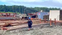 Harus kerja
