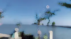 Slowmo Filter Hd