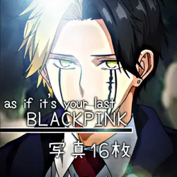 BLACKPINK￤写真16枚で完成!!
