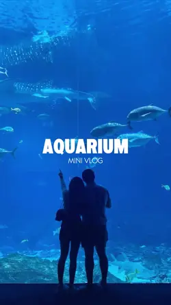 aquarium mini vlog