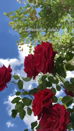 sen dermanım sahibi