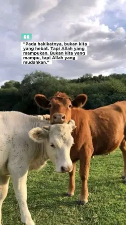 "Pada hakikatnya, 