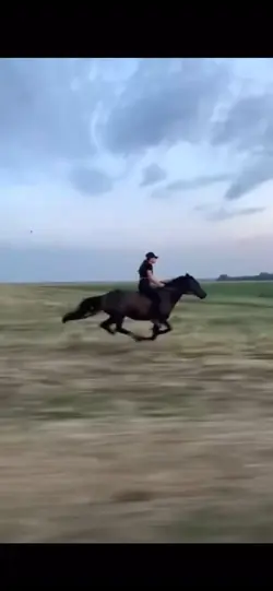 Galloping 