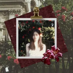 maroon frame