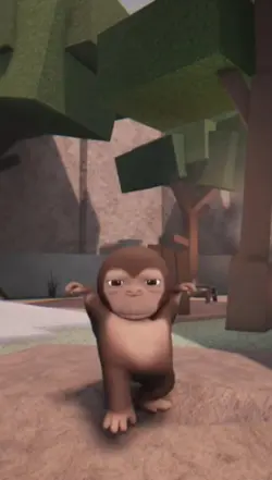 DIGEBOY GEBOY MUJAIR