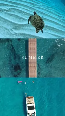 SUMMER
