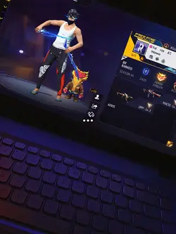 PC/LAPTOP FF