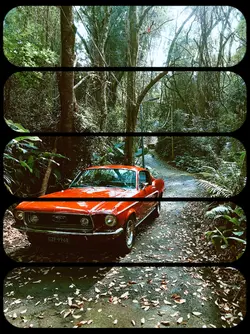 1 photo/video effect