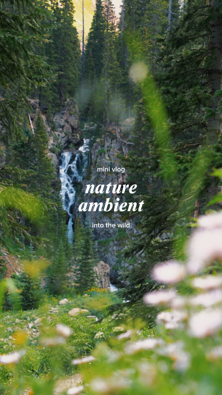 nature aesthetic