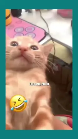 TikTok viral 