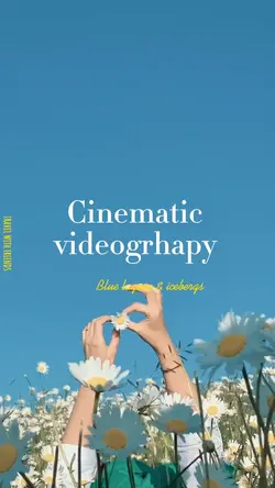 Cinematic videogrhap