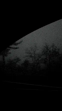 طويل الشوق
