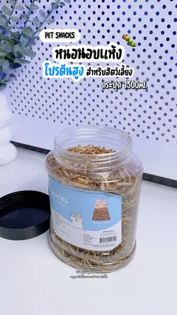 หนอนนกอบแห้ง 🐛