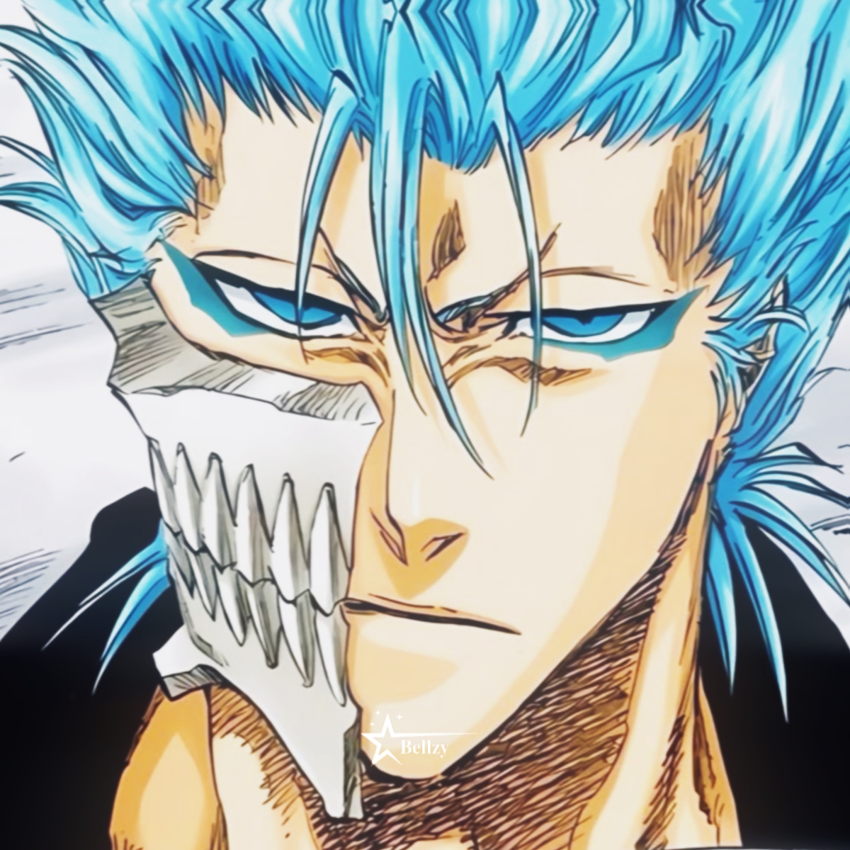 Cover Picture